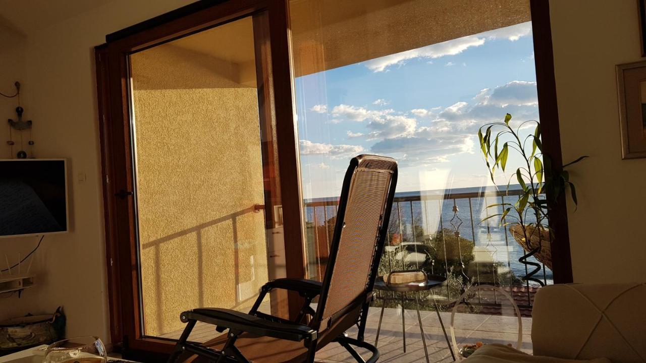 Loft Infinity Apartment Petrovac Екстериор снимка